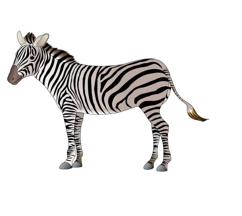 zebra animal models and silhouette vector