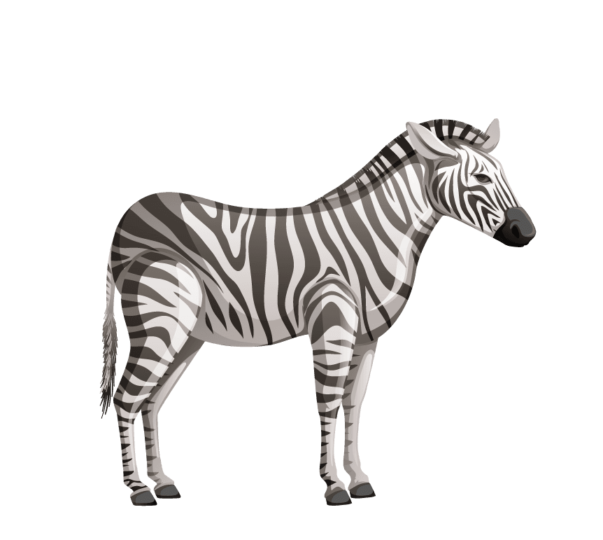 zebra ethnic people african tribes traditional clothing nature background
