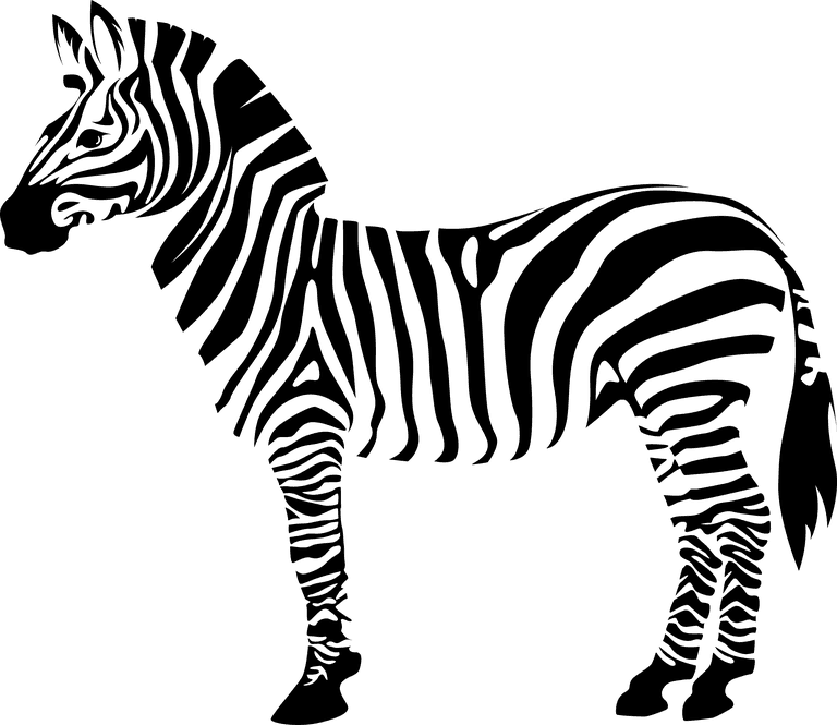 zebra icons black white sketch perfect for playful branding and educational materials