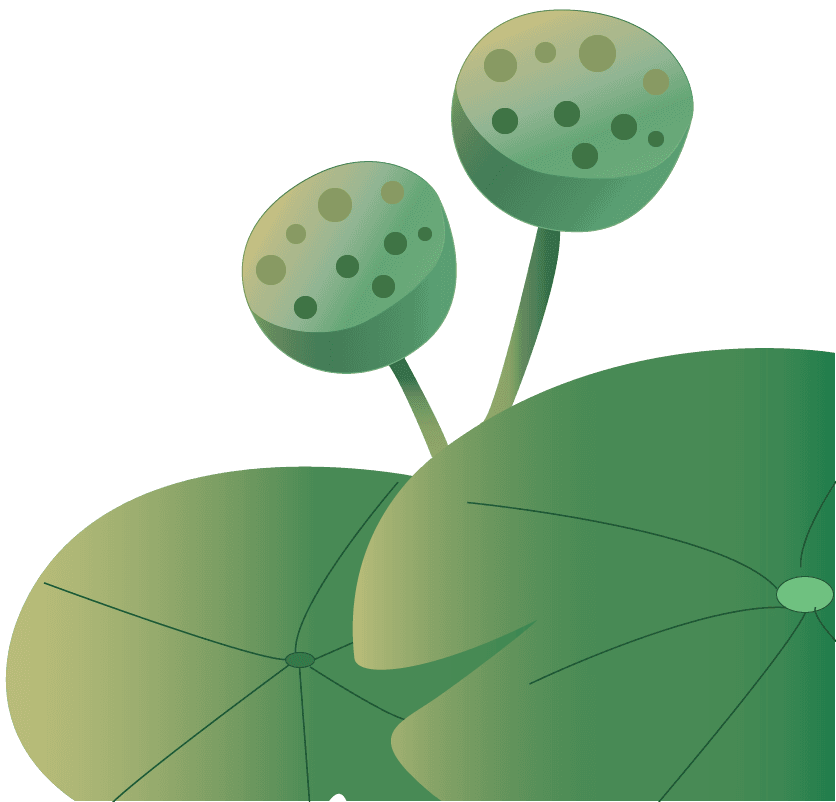 stunning water lily pad illustration featuring serene aquatic life for nature enthusiasts