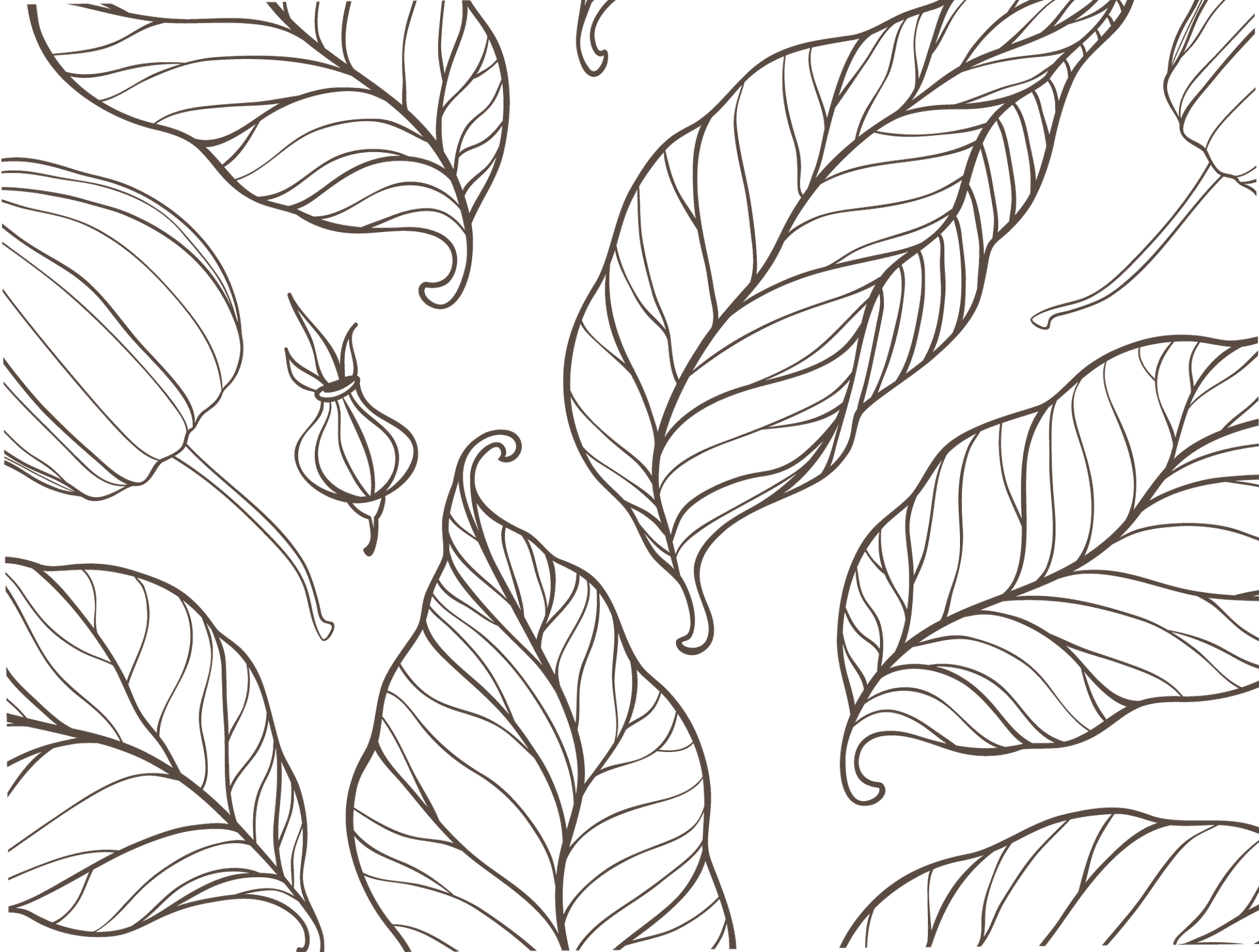 minimalist elegant brown leaves pattern with white background