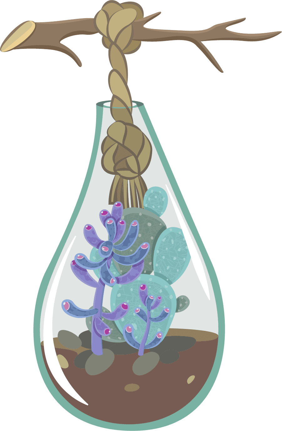 minimalist terrarium with cactus suspended oasis