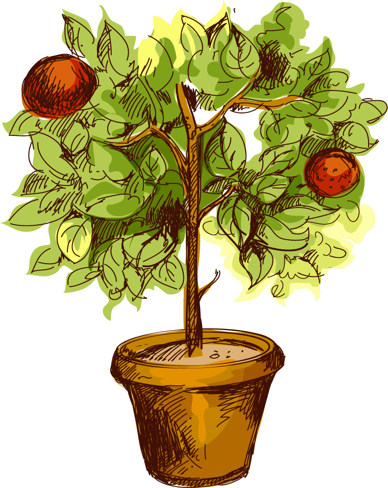 colorful gardening essentials featuring potted fruit tree and red wheelbarrow for outdoor plant care