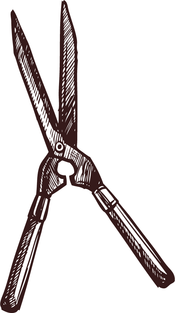hand-drawn gardening tool sketches with rustic charm and detailed features