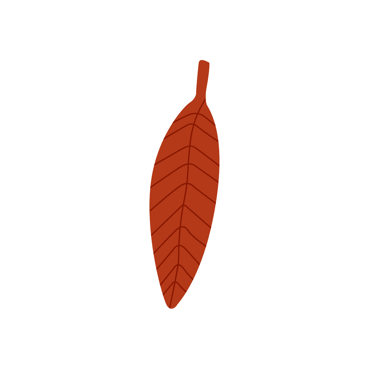 minimal fallen leaf illustration vector