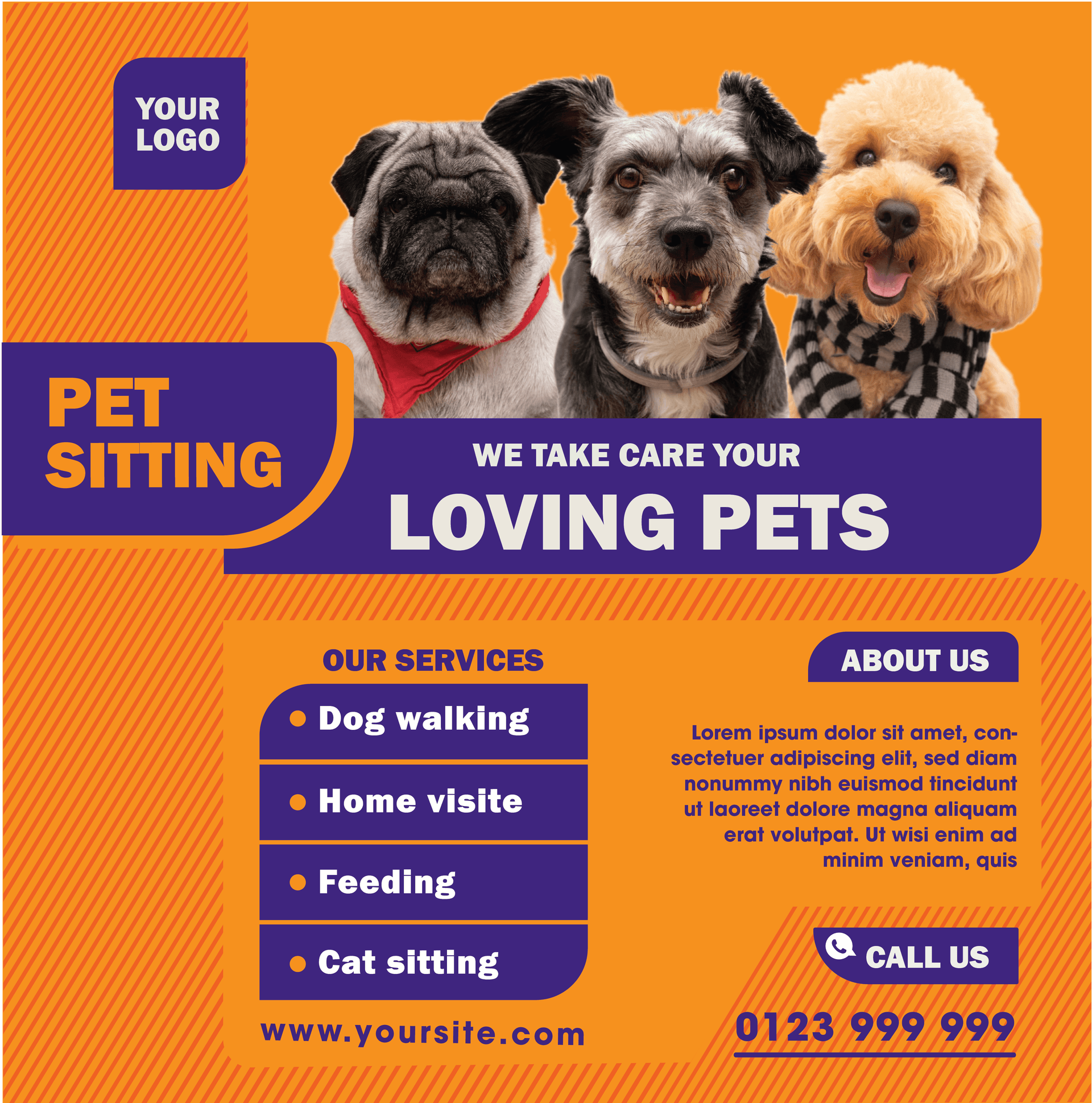 modern pet care and product templates with vibrant colors and professional layouts for versatile use