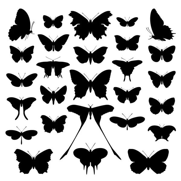 Nature-Inspired Butterfly Silhouette Patterns: A Creative Journey