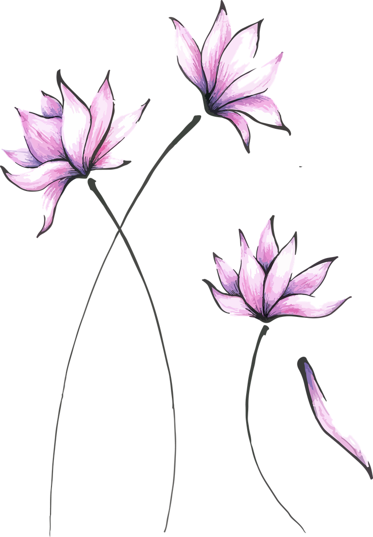 asian flowers bontanical