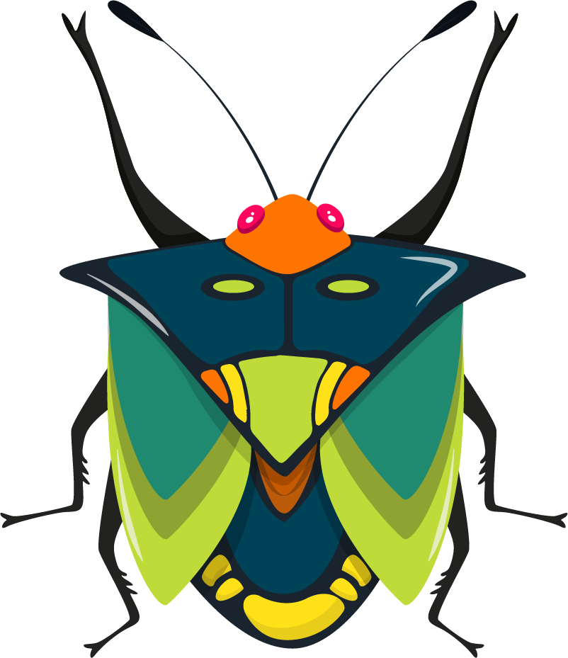 bugs insects icons colorful symmetric 