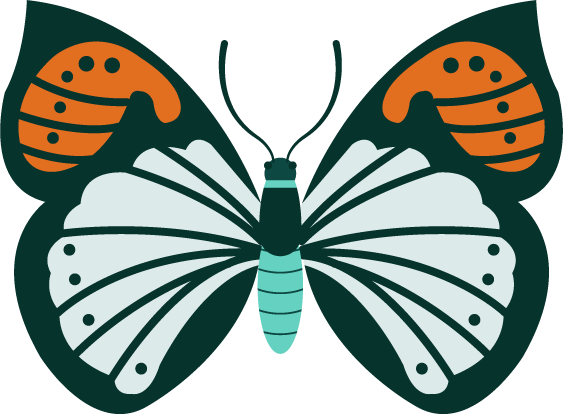 butterfly icons collection colorful flat symmetric shapes