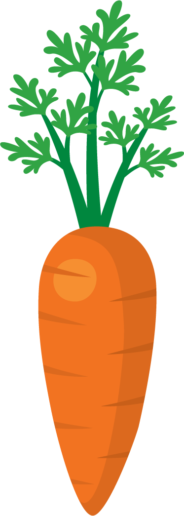 carrot vegetable icons collection