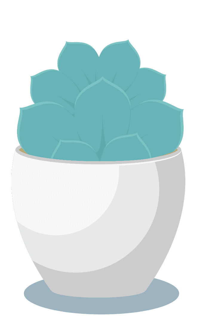 charming cactus plants in white pots illustration