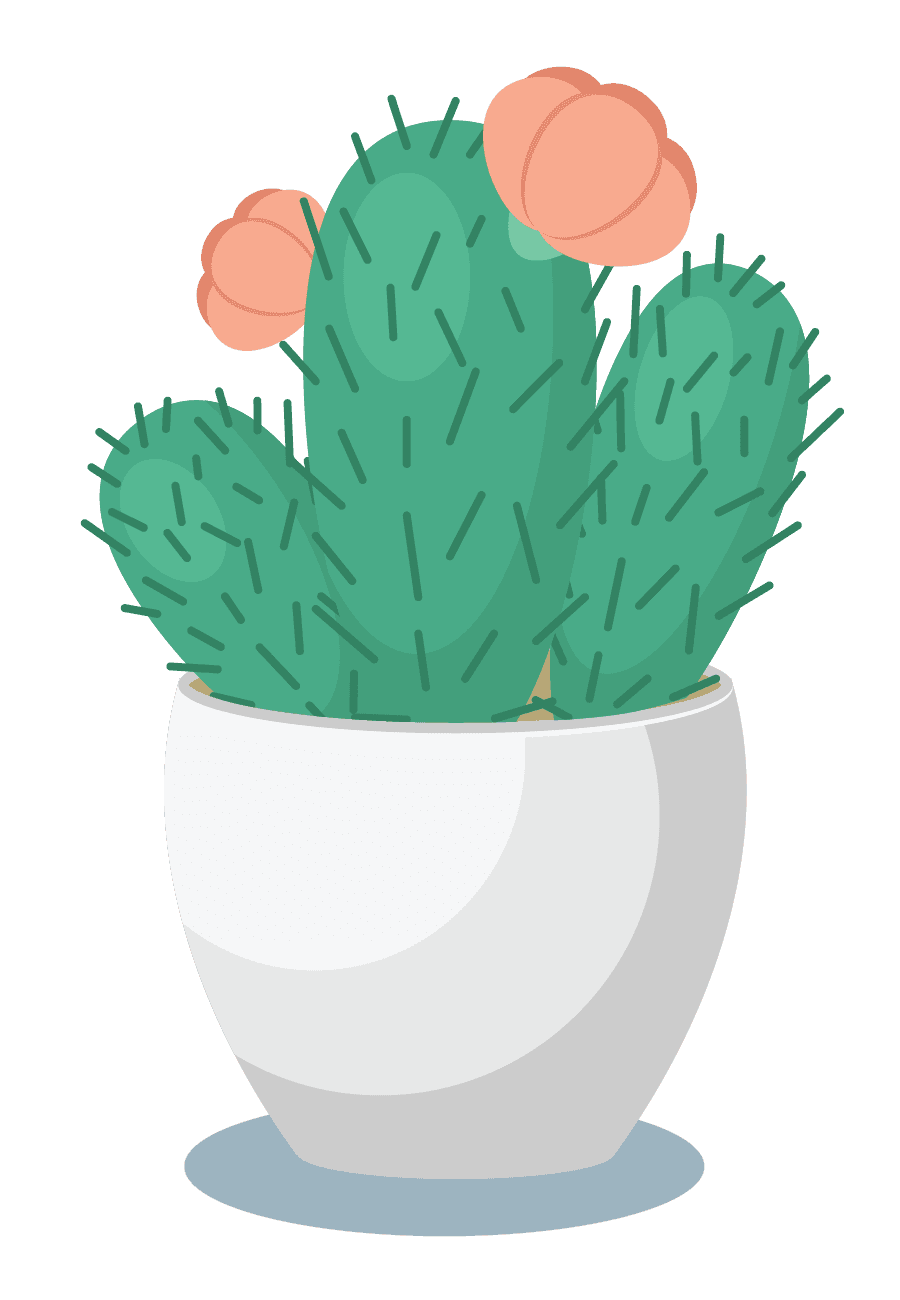 charming cactus plants in white pots illustration