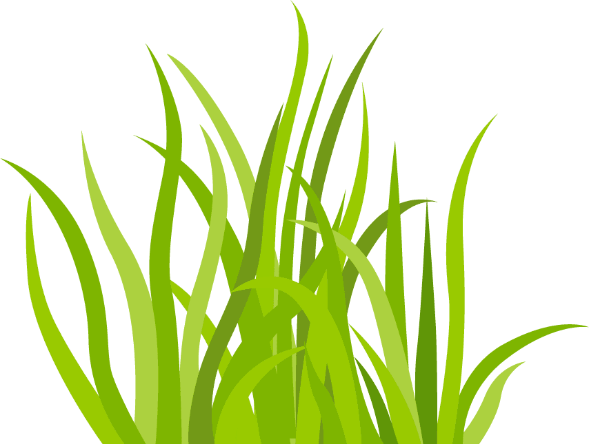 decorative green grass pattern