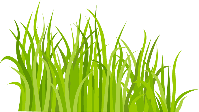 decorative green grass pattern