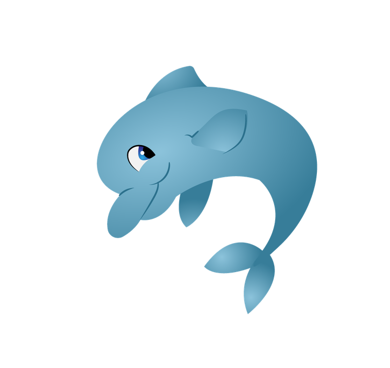 dolphin fish characters