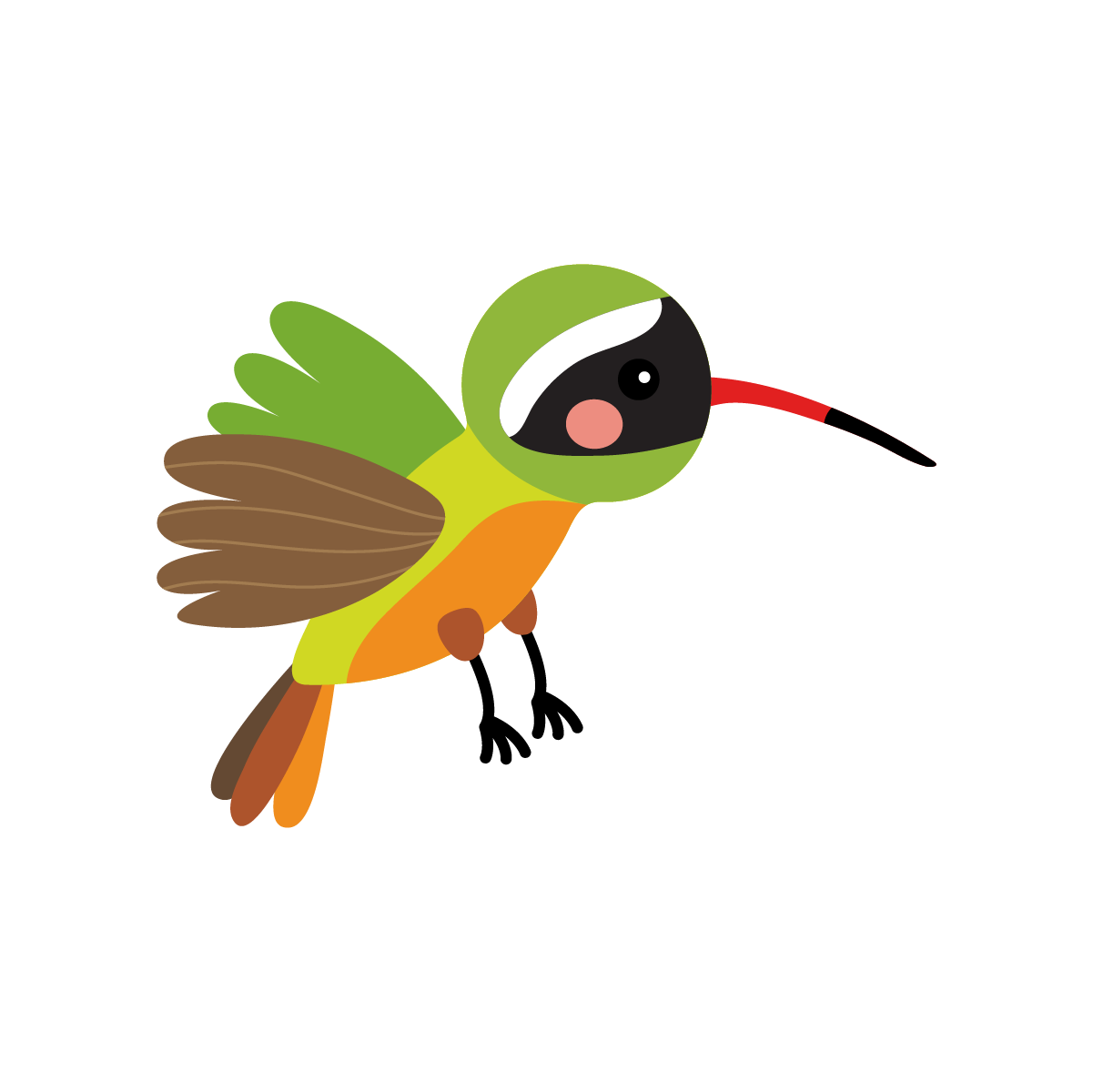 Flat colored tropical birds illustration