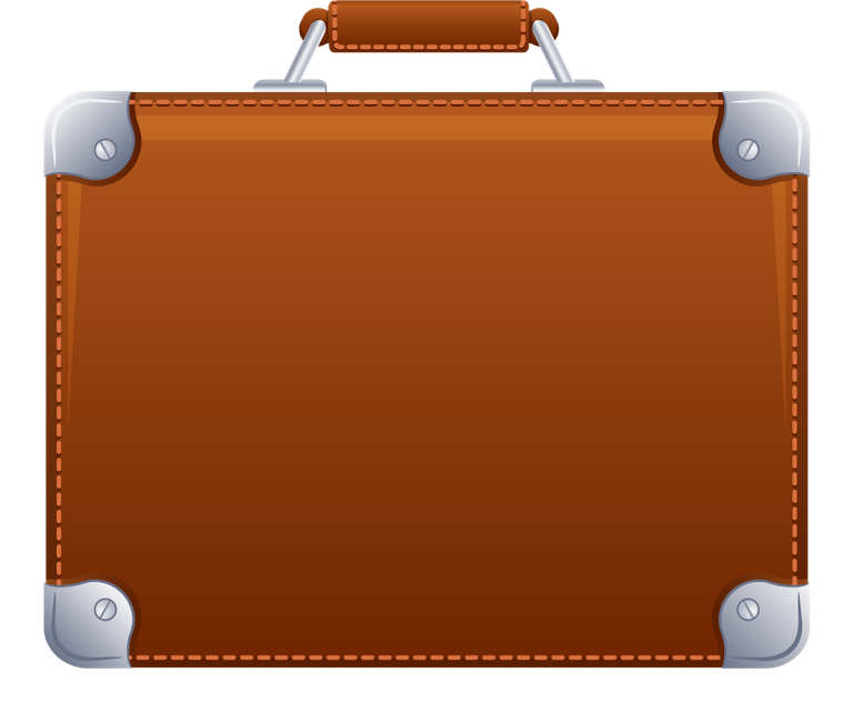 flat of colored luggages icons