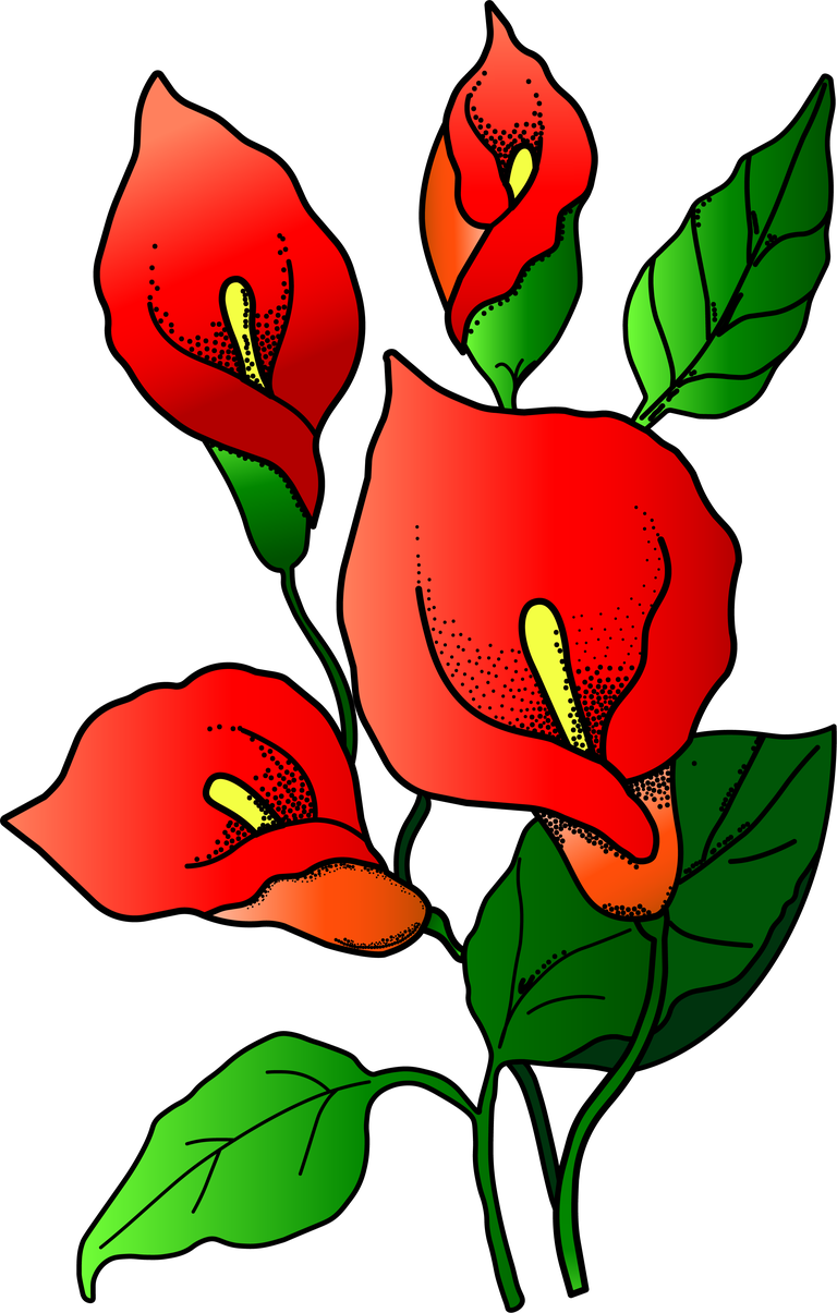 flower drawing colorful beautiful