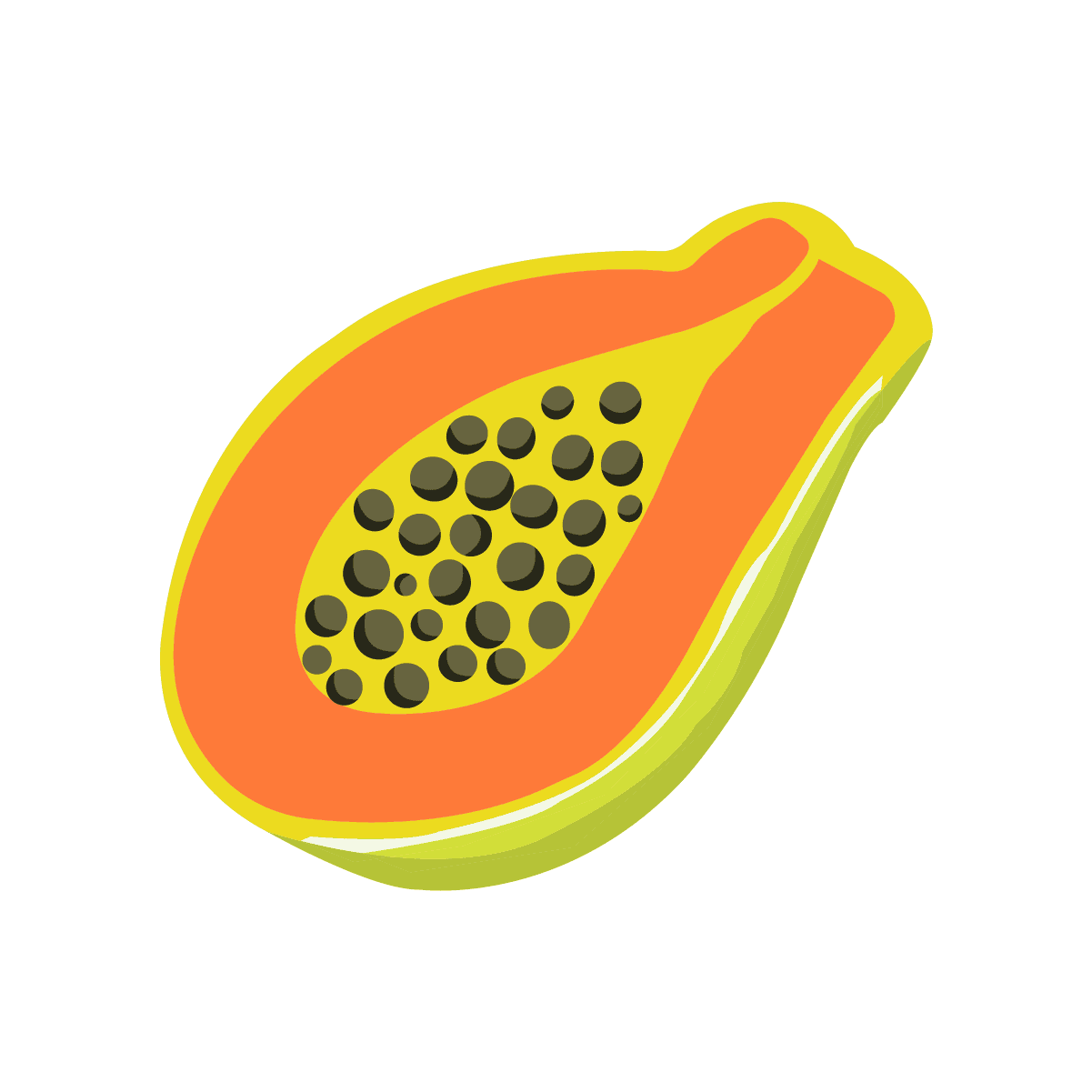 fresh and vibrant summery fruit illustration