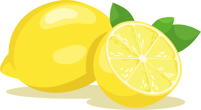 fresh lemon fruit and lemon slice illustration