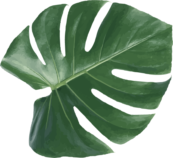 gren tropical leaf element