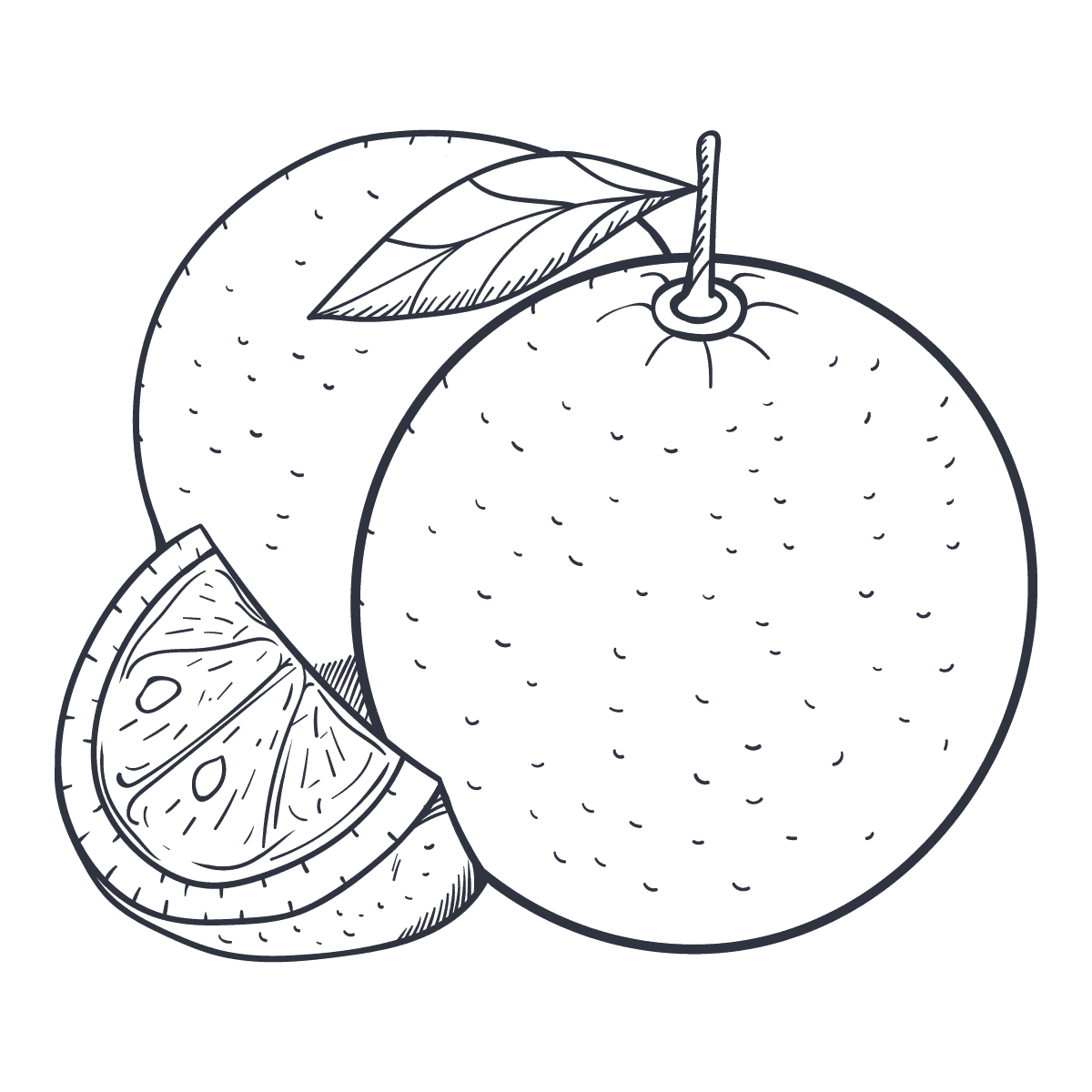 hand drawn fruit sketches for menus and packaging