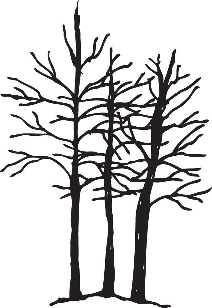 handdrawn icons ribbon mount tree arrow sketch