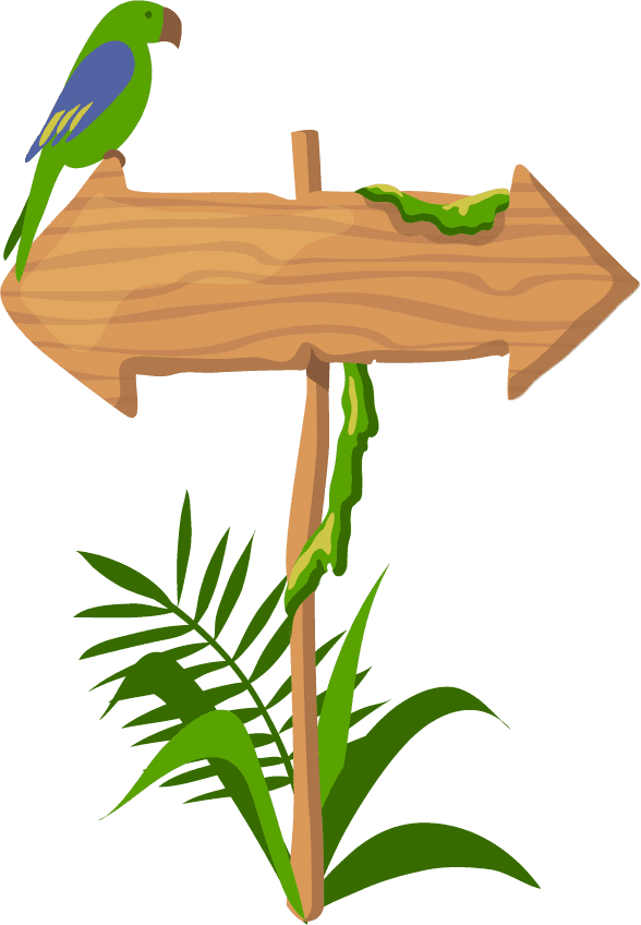jungle wooden boards direction arrow