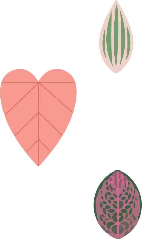 leafplants-bontanical-vector-cover-751598