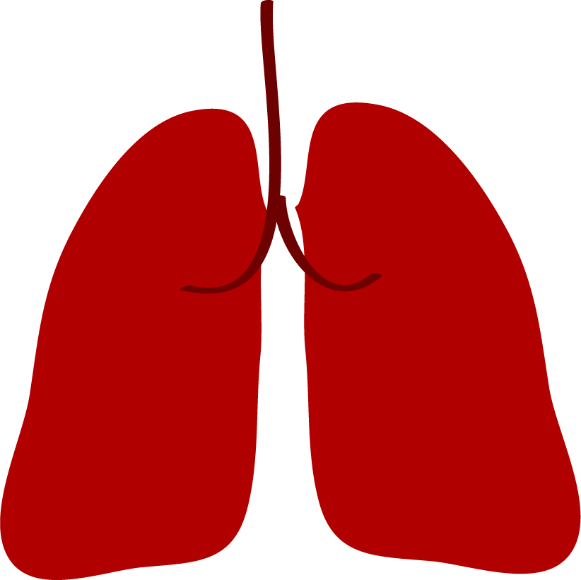lung medical icons set