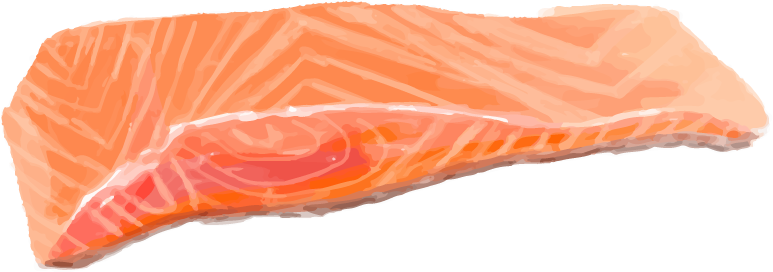 piece of salmon hand drawn food ingredients watercolor style