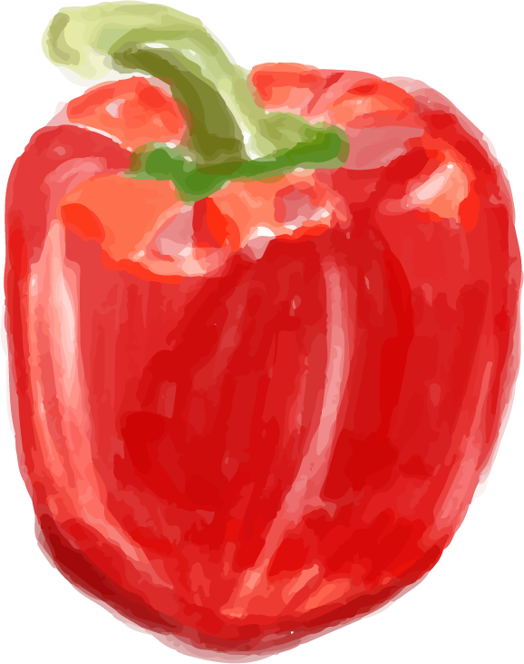 red bell pepper hand drawn food ingredients watercolor style