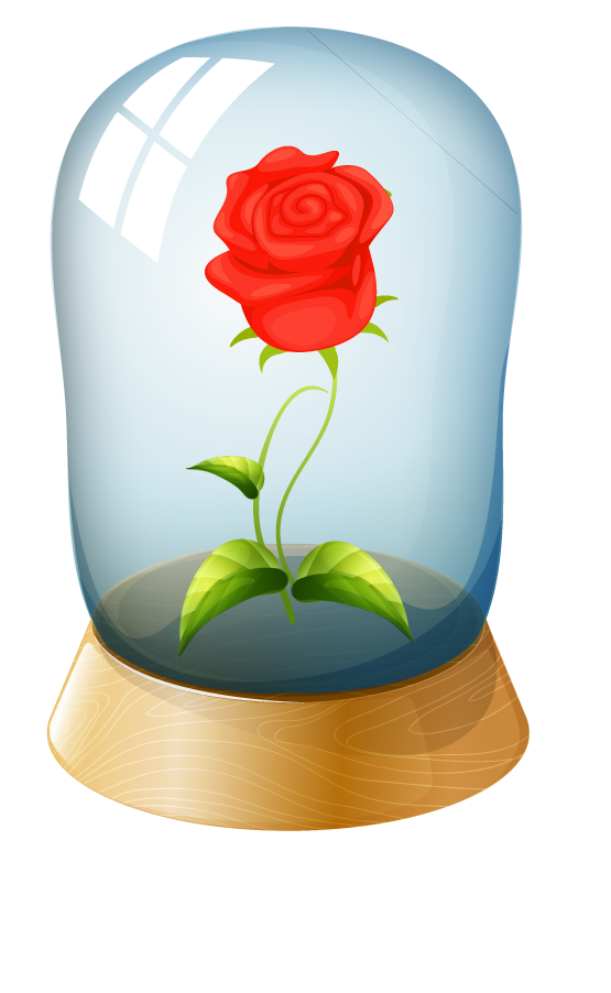 roses in glass set medieval character