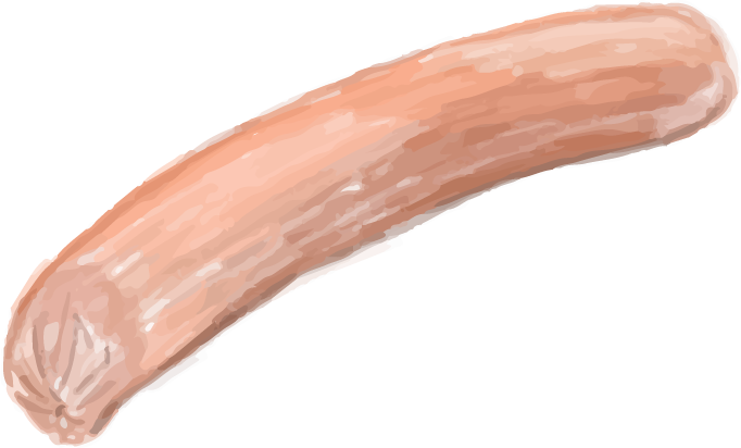 sausage hand drawn food ingredients watercolor style