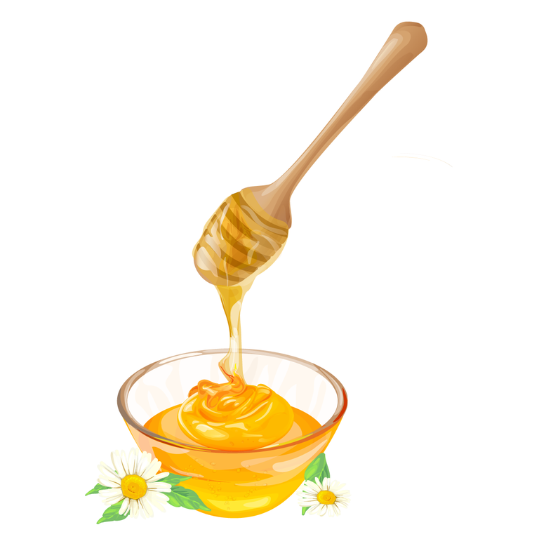 set illustrations honey honeycombs jar dripping from honey dipper icons