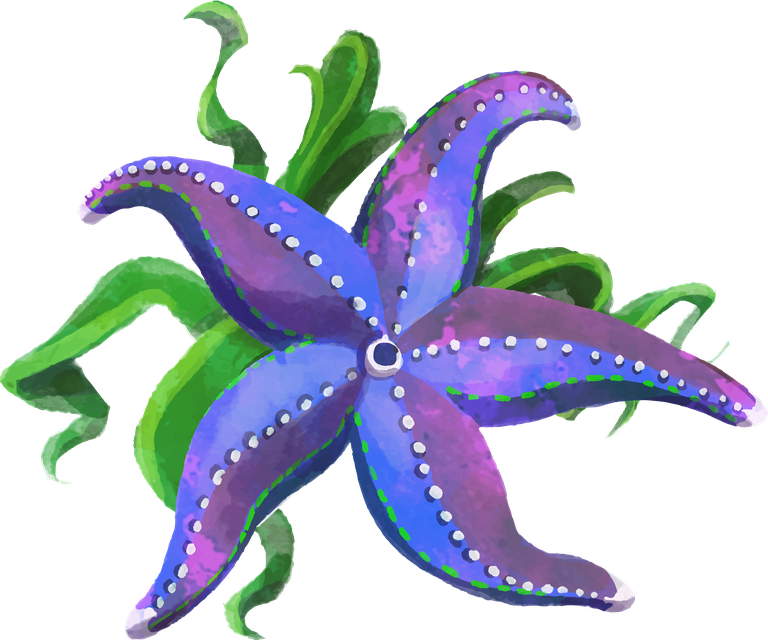 starfish watercolor beautiful starfish
