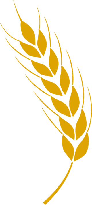 agriculturewheat-icon-bread-agriculture-and-natural-eat-wheat-ears-356085