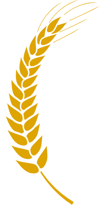 agriculturewheat-icon-bread-agriculture-and-natural-eat-wheat-ears-370295