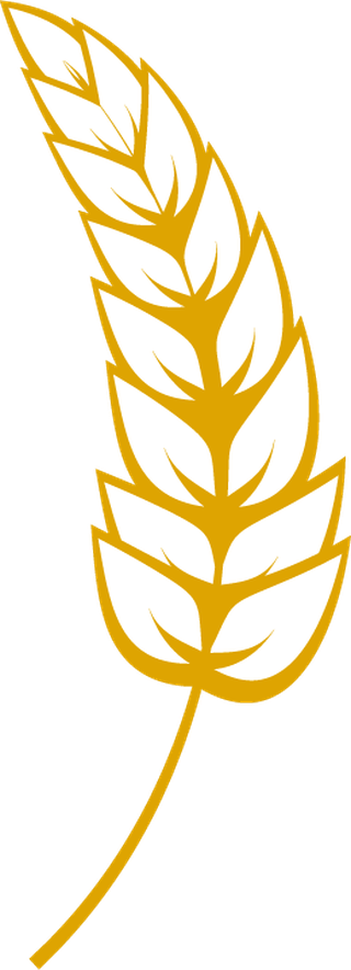 agriculturewheat-natural-eat-wheat-ears-line-icon-387142