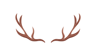 animalhorns-horn-antlers-set-ramhorn-parts-vector-illustration-masculine-horns-of-hunting-301275