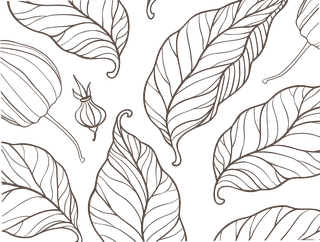 minimalistelegant-brown-leaves-pattern-with-white-background-915887
