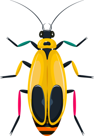 beetlesbugs-insects-icons-colorful-symmetric-design-693994