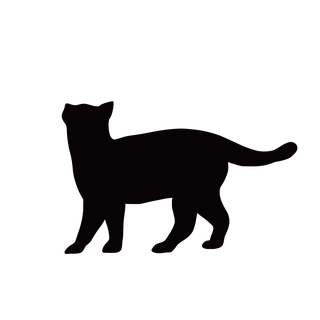 blackwalking-cat-silhouettes-212397
