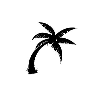 boldpalm-tree-silhouette-332138