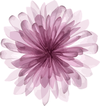botanicalflowers-art-watercolor-pink-vector-cover-735267