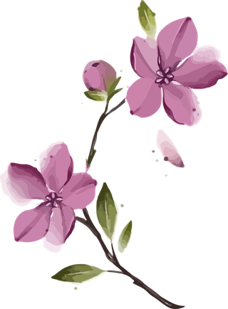 botanicalflowers-art-watercolor-pink-vector-cover-855980