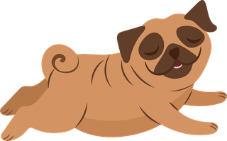 bulldog-different-action-emotion-happy-smiling-pet-sleeping-eating-having-fun-401341