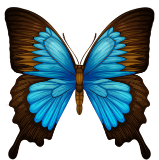 butterflydifferent-types-of-insects-illustration-7277