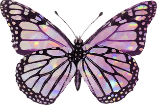 butterflypink-holographic-glittery-butterfly-design-element-set-vector-560686
